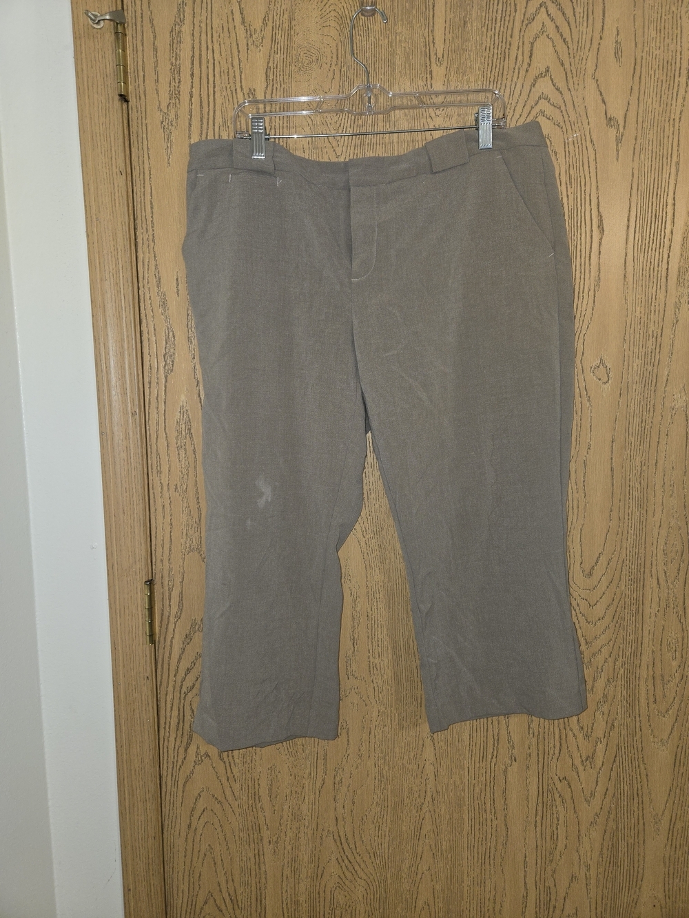 Daisy Fuentes Taupe Capris